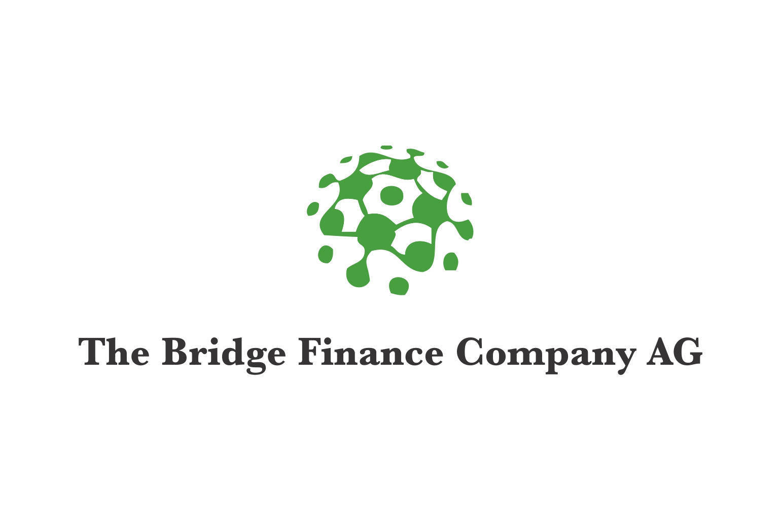 Bridge Finance